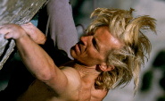 hans head shot long hair